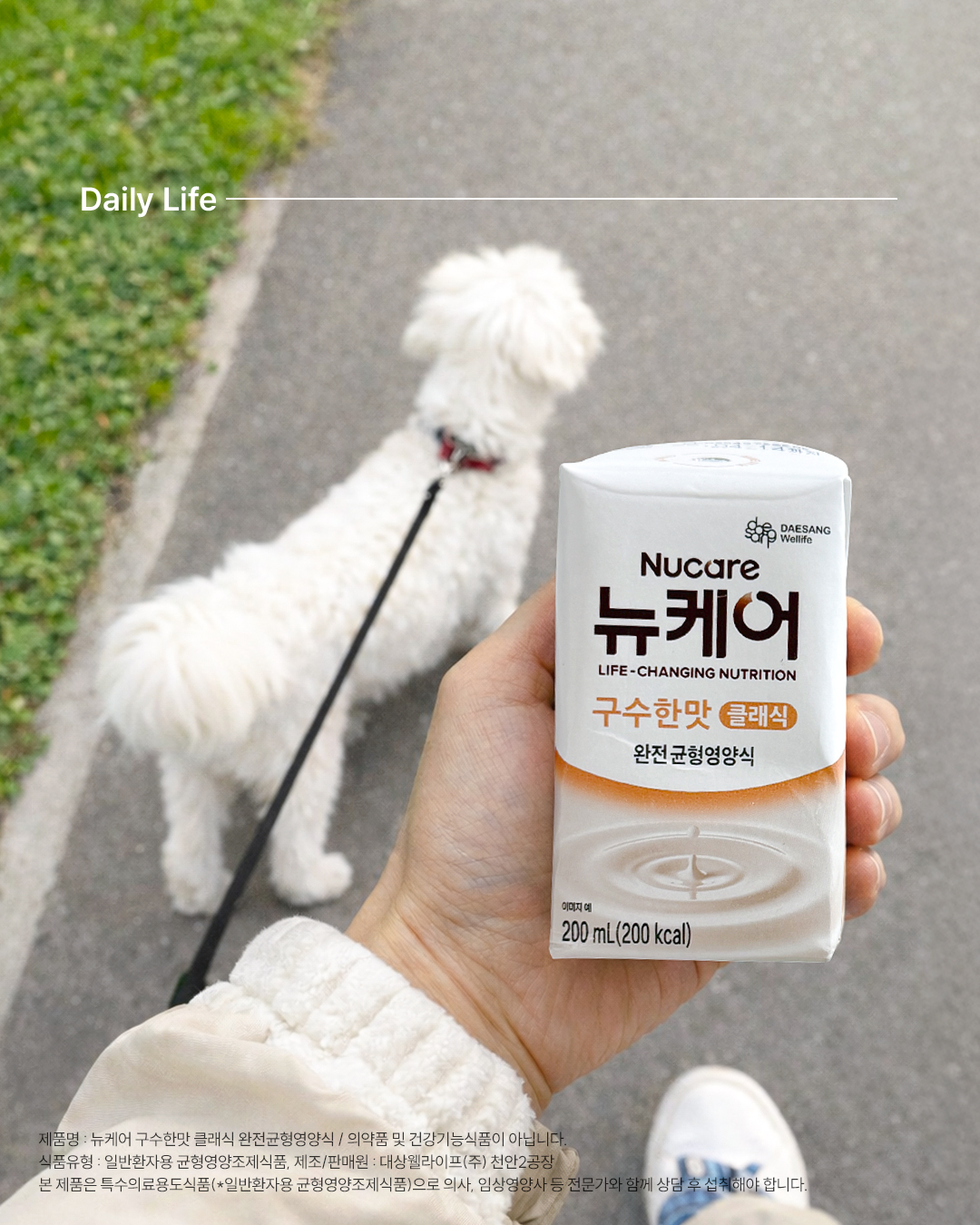 강아지 산책과 함께하는 뉴케어 구수한맛 클래식